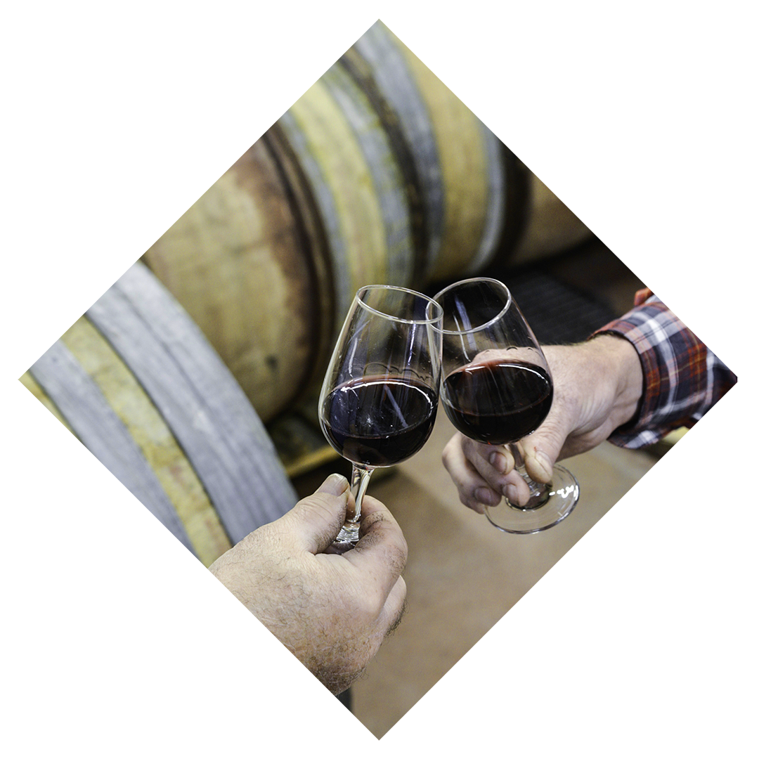 Mas de Bagnols - Dégustation de vin rouge au caveau du domaine
