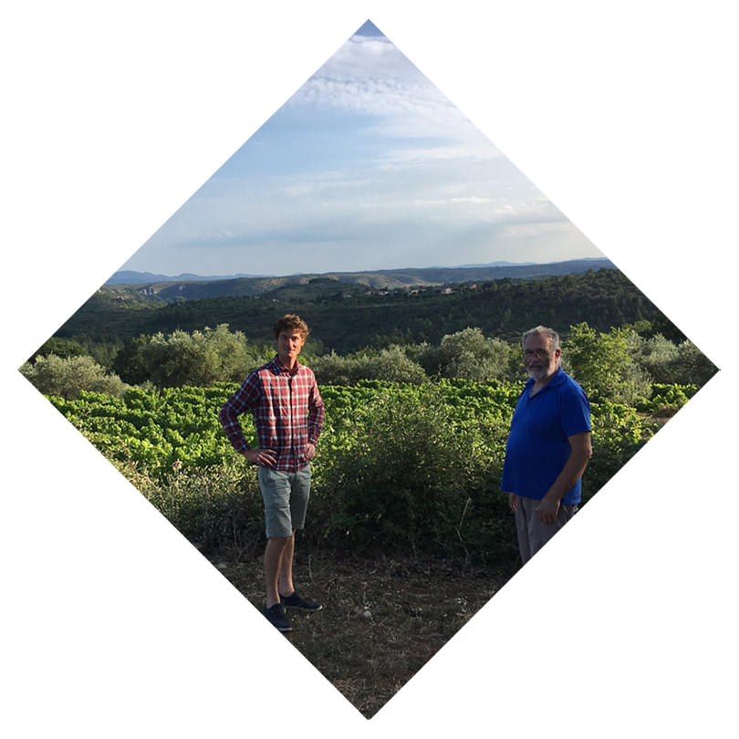 Mas de Bagnols - Louis de Moerloose vigneron indépendant à Vinezac